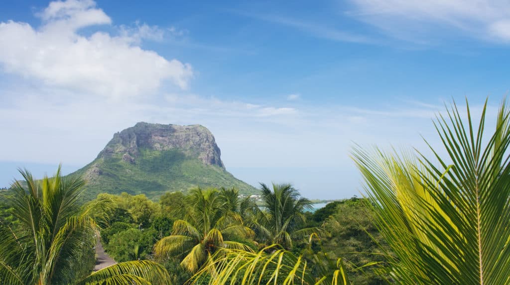 Mountain on a blue sky and palm trees on the foreground. Le Morne  Brabant, Mauritius island.