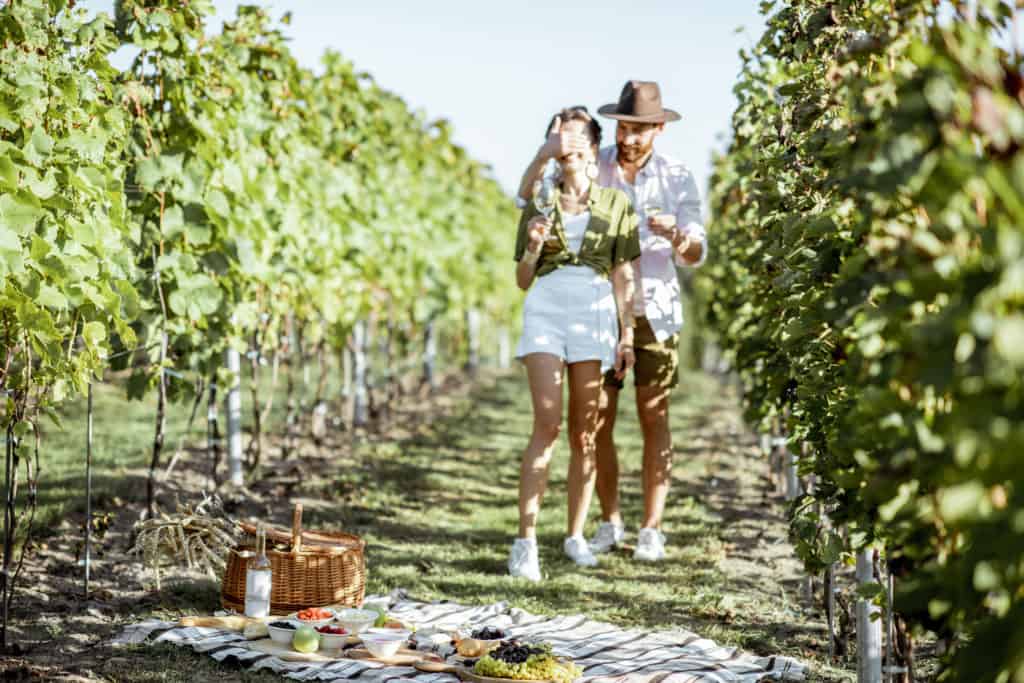 man surprising his girlfriend with a beautiful picnic at a vineyard.